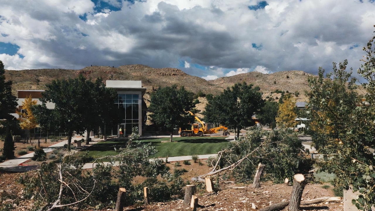 Emergency storm response cleanup